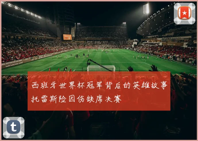 西班牙世界杯冠军背后的英雄故事托雷斯险因伤缺席决赛